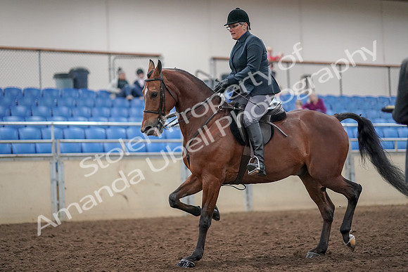 2019 Morgan Horse Show - Aug 30, 2019 - 20468