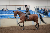 2019 Morgan Horse Show - Aug 30, 2019 - 29215
