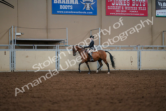 2019 Morgan Horse Show - Aug 30, 2019 - 23275