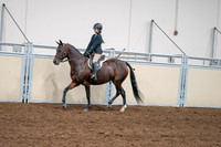 2020 - AB Morgan Horse - Sat, Sept 05 - 04964