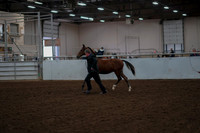 2019 Morgan Horse Show - Aug 30, 2019 - 25529