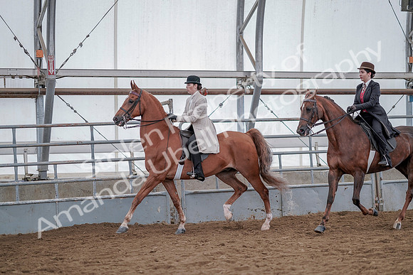 July 20, 2019 - 14582
