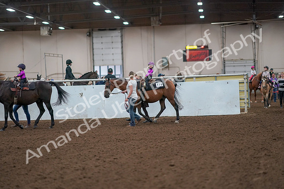 2019 Morgan Horse Show - Aug 31, 2019 - 18902