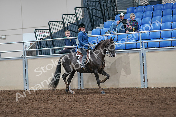 2020 - AB Morgan Horse - Sat, Sept 05 - 05197