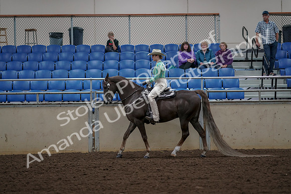 2019 Morgan Horse Show - Aug 30, 2019 - 25954