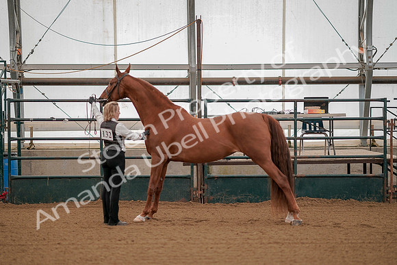 July 19, 2019 - 108