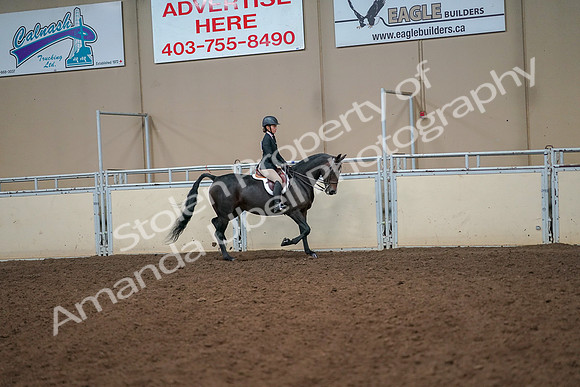 2019 Morgan Horse Show - Aug 30, 2019 - 12346