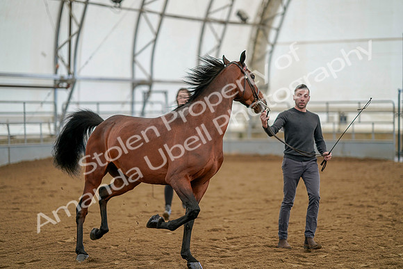 July 19, 2019 - 958