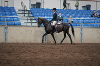 2019 Morgan Horse Show - Sept 01, 2019 - 09017