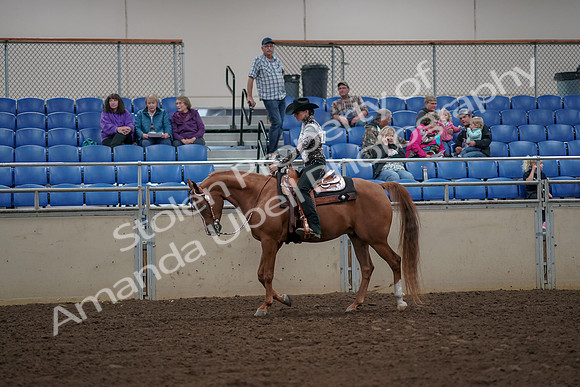 2019 Morgan Horse Show - Aug 30, 2019 - 26007
