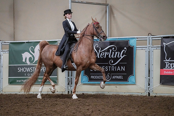 Spring Fling - Saturday - April 20, 2019  -  04220