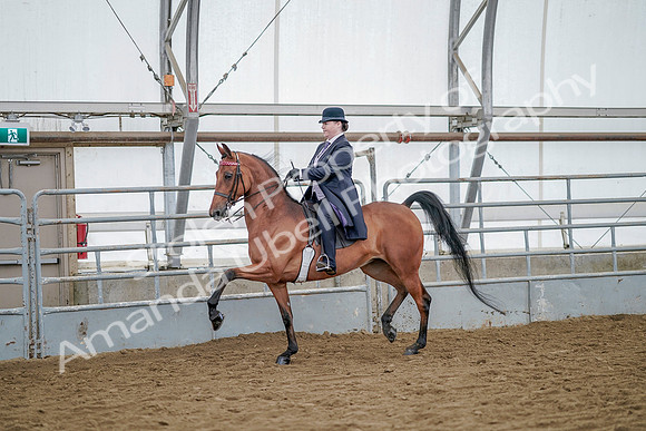 July 20, 2019 - 13689