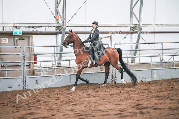 July 20, 2019 - 20822