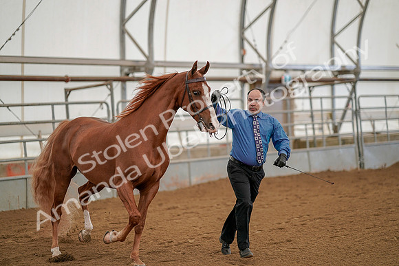 July 19, 2019 - 925