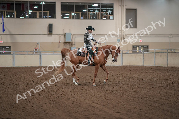 2019 Morgan Horse Show - Aug 30, 2019 - 26211