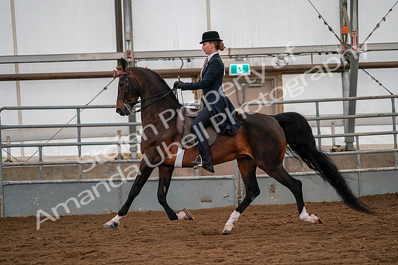 July 19, 2019 - 10560