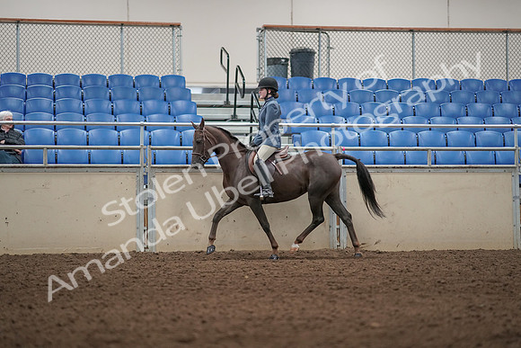2019 Morgan Horse Show - Aug 31, 2019 - 04995