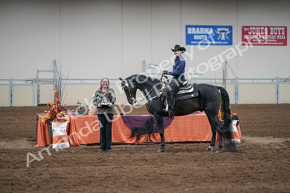 2020 - AB Morgan Horse - Sun, Sept 06 - 07627