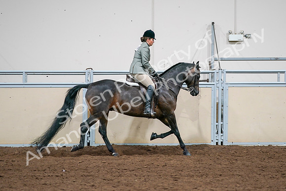 2020 - AB Morgan Horse - Sat, Sept 05 - 14519