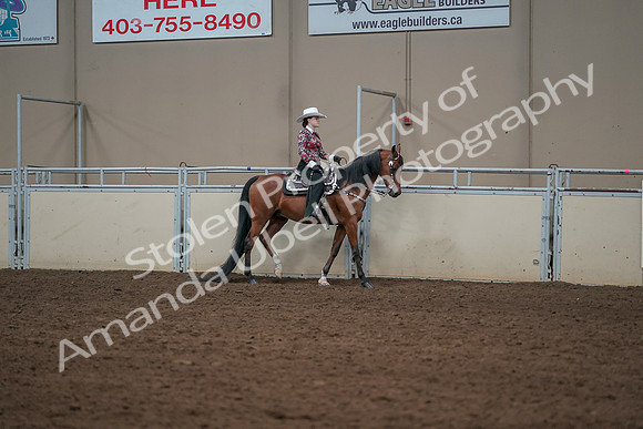 2019 Morgan Horse Show - Aug 30, 2019 - 26148