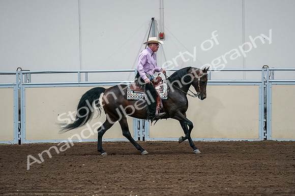 2020 - AB Morgan Horse - Fri, Sept 04 - 00557