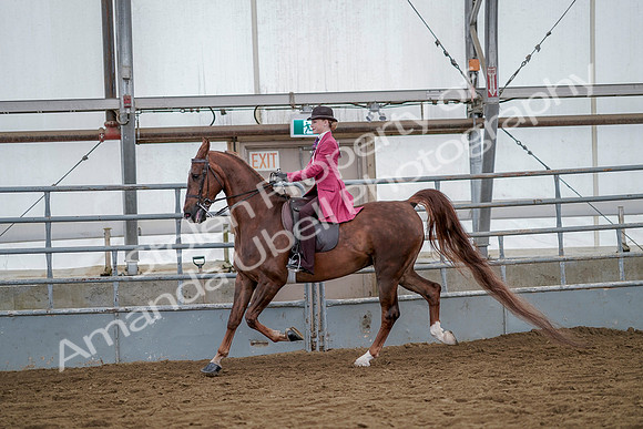 July 20, 2019 - 14511