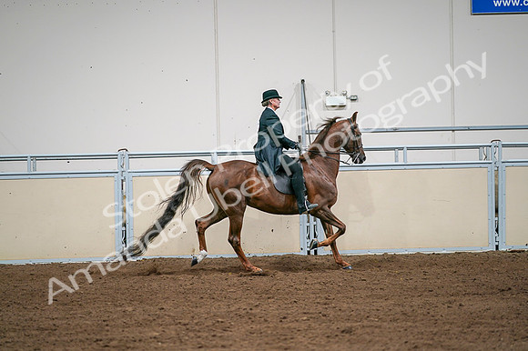 2020 - AB Morgan Horse - Fri, Sept 04 - 08127