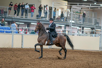 2020 - AB Morgan Horse - Sat, Sept 05 - 07897