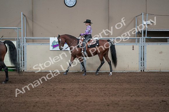 2019 Morgan Horse Show - Sept 01, 2019 - 06883