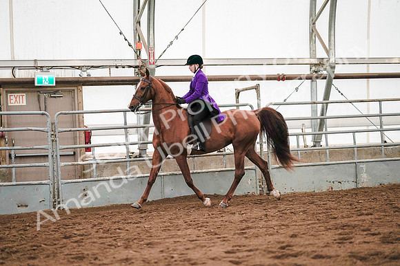 July 20, 2019 - 21585