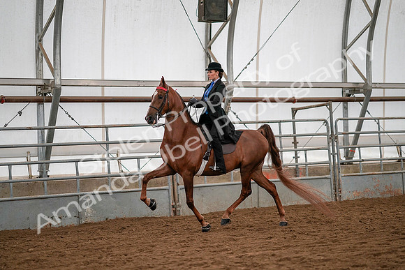 July 19, 2019 - 10589