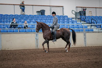 2019 Morgan Horse Show - Sept 01, 2019 - 06218