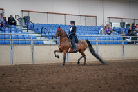 2019 Morgan Horse Show - Aug 31, 2019 - 19907