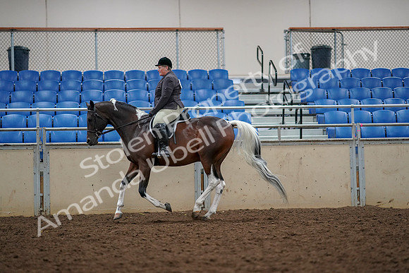 2019 Morgan Horse Show - Aug 30, 2019 - 22417