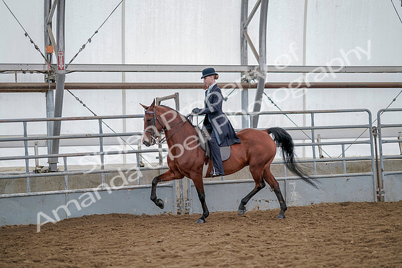July 20, 2019 - 14545