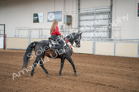 2020 - AB Morgan Horse - Sat, Sept 05 - 10444
