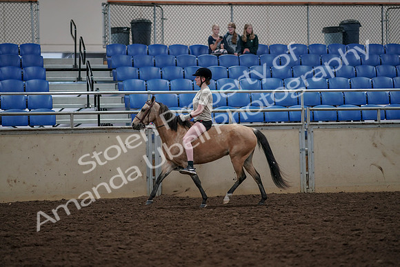 2019 Morgan Horse Show - Aug 30, 2019 - 31069