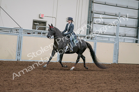 2020 - AB Morgan Horse - Sat, Sept 05 - 13627