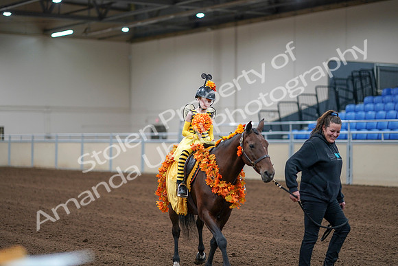 2020 - AB Morgan Horse - Sat, Sept 05 - 05780