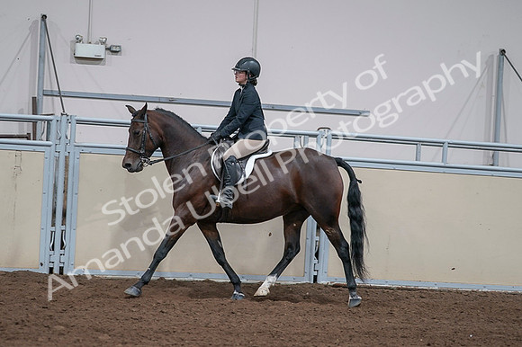 2020 - AB Morgan Horse - Fri, Sept 04 - 05956