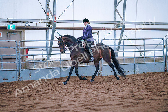 July 20, 2019 - 22463