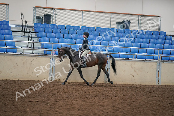 2019 Morgan Horse Show - Aug 30, 2019 - 12263