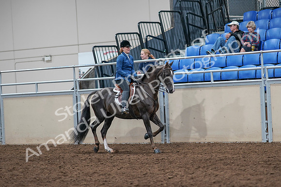 2020 - AB Morgan Horse - Sat, Sept 05 - 05079