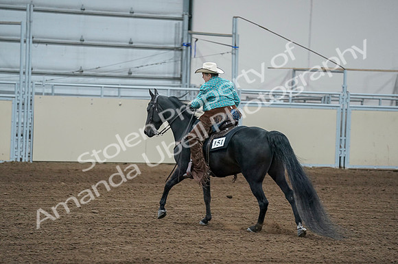 2020 - AB Morgan Horse - Fri, Sept 04 - 00620