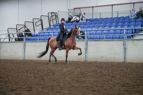 Spring Fling - Saturday - April 20, 2019  -  00788