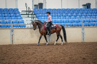 2019 Morgan Horse Show - Aug 30, 2019 - 22697