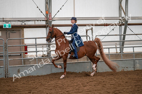 July 19, 2019 - 10234