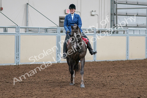 2020 - AB Morgan Horse - Sat, Sept 05 - 05239