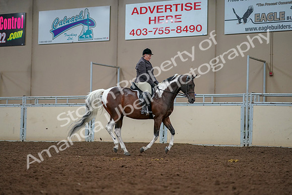2019 Morgan Horse Show - Aug 30, 2019 - 22503