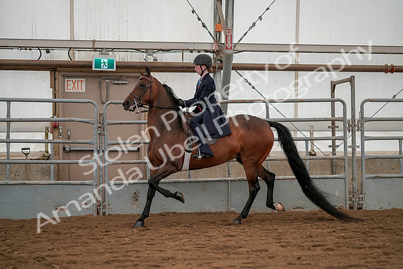 July 19, 2019 - 3808